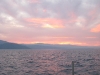 IMG_4347.JPG