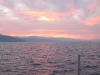 IMG_4350.JPG
