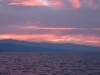 IMG_4353.JPG