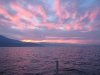IMG_4359.JPG
